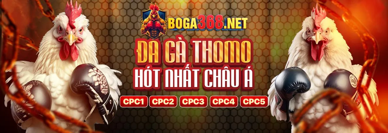 Đá Gà trực tuyến vi88