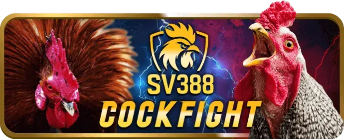 Chiến thuật chơi Game Bài vi88